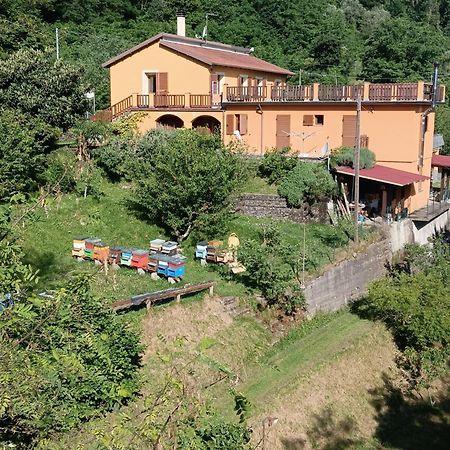 #Bordigona Hotel Carrodano Inferiore Luaran gambar